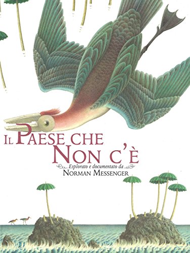 Il Paese Che Non C'È. Ediz. A Colori