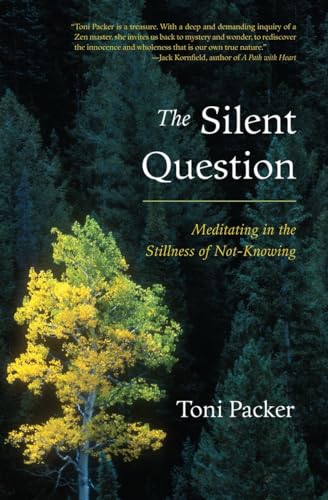 The Silent Question: Meditating In The Stillness Of Not-Knowing