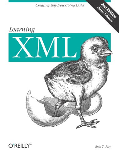 Learning Xml 2E