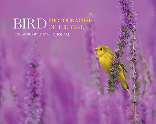 Bird Photographer Of The Year: Collection 7