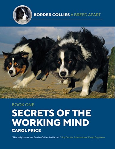Secrets Of The Working Mind: 1