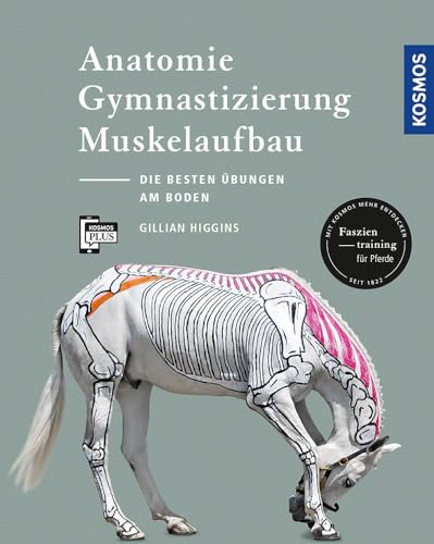Anatomie, Gymnastizierung, Muskelaufbau: Die Besten Übungen Für Pferde Am Boden