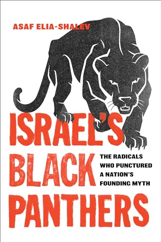 Israel'S Black Panthers: The Radicals Who Punctured A Nation'S Founding Myth
