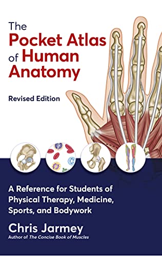 The Pocket Atlas Of Human Anatomy: A Reference For Students Of Physical Therapy, Medicine, Sports, And Bodywork