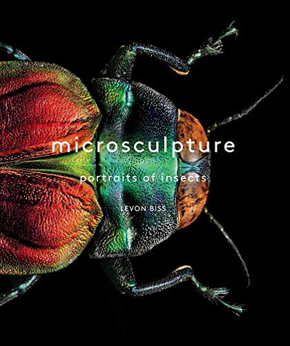 Microsculpture: Portraits Of Insects