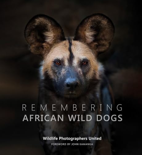 Remembering African Wild Dogs: 6