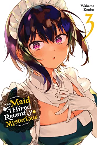 The Maid I Hired Recently Is Mysterious 3