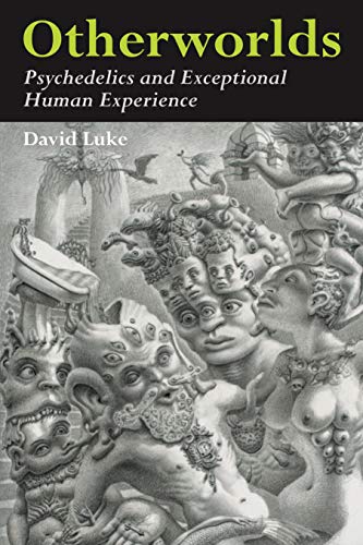 Otherworlds: Psychedelics And Exceptional Human Experience