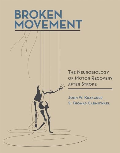 Broken Movement: The Neurobiology Of Motor Recovery After Stroke