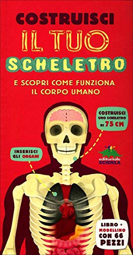 Costruisci Il Tuo Scheletro E Scopri Come Funziona Il Corpo Umano. Con Modellino Da Montare