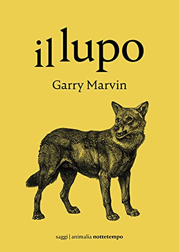 Il Lupo