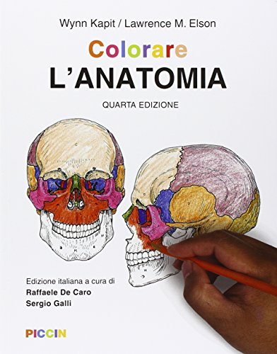 Colorare L'Anatomia