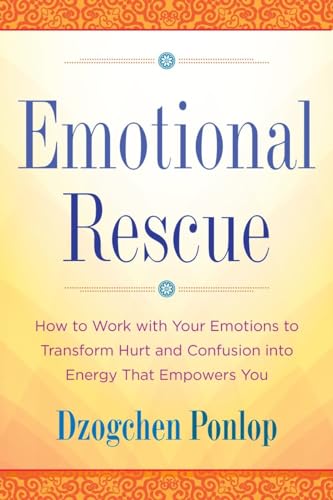Emotional Rescue: How To Work With Your Emotions To Transform Hurt And Confusion Into Energy That Empowers You