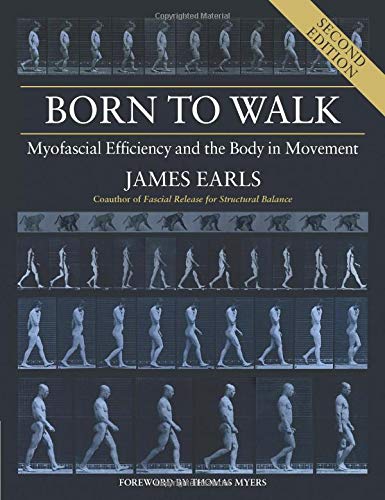 Born To Walk: Myofascial Efficiency And The Body In Movement