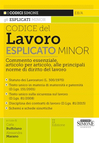 Codice Del Lavoro Esplicato Minor