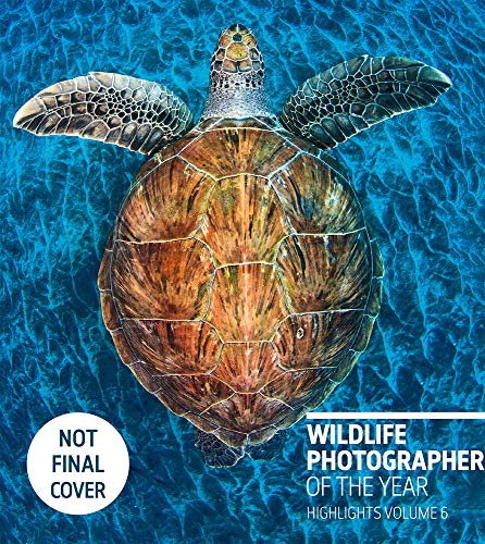 Wildlife Photographer Of The Year: Highlights
