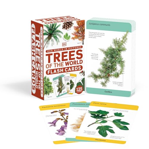 Our World In Pictures Trees Of The World Flash Cards