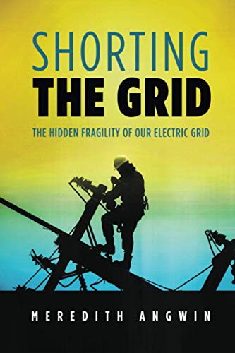 Shorting The Grid: The Hidden Fragility Of Our Electric Grid