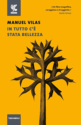 In Tutto C'È Stata Bellezza