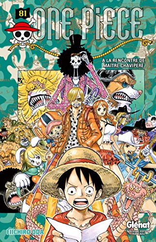 One Piece 81: À La Rencontre De Maître Chavipère