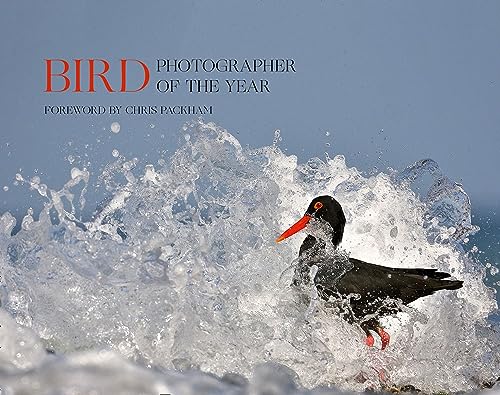 Bird Photographer Of The Year: Collection 5