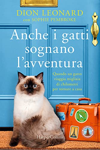 Anche I Gatti Sognano L'Avventura