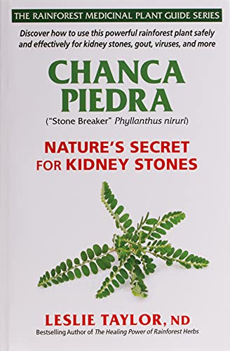 Chanca Piedra: Nature’S Secret For Kidney Stones: 4