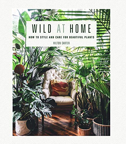 Wild At Home: How To Style And Care For Beautiful Plants