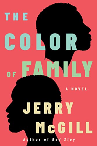 The Color Of Family: A Novel