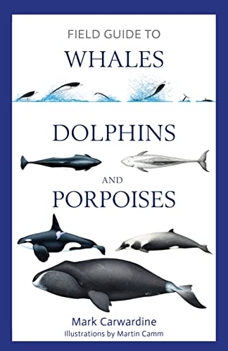 Field Guide To Whales, Dolphins And Porpoises