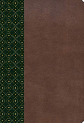 Santa Biblia: Reina-Valera 1960, Biblia De Estudio Scofield, Verde Oscuro / Castaño Símil Piel