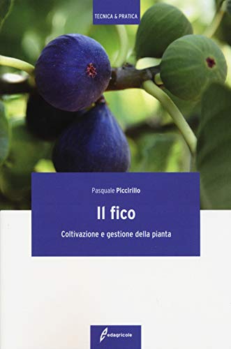 Il Fico. Coltivazione E Gestione Della Pianta