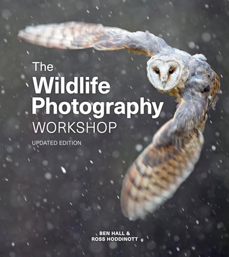 The Wildlife Photography Workshop