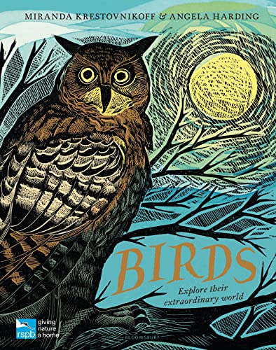 Rspb Birds: Explore Their Extraordinary World