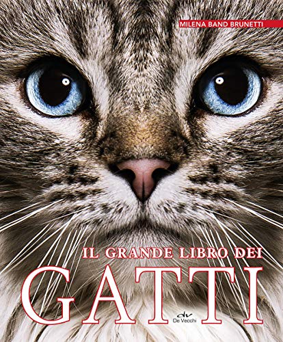 Il Grande Libro Dei Gatti