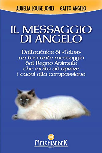 Il Messaggio Di Angelo