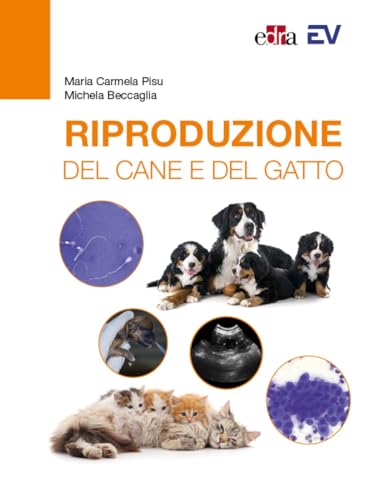 Riproduzione Del Cane E Del Gatto