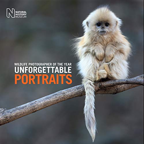 Wildlife Photographer Of The Year: Unforgettable Portraits