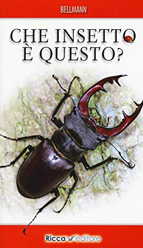 Che Insetto È Questo? Ediz. Illustrata