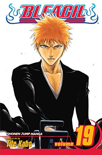 Bleach 19: The Black Moon Rising