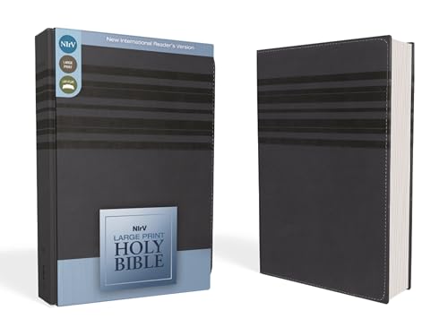 Nirv, Holy Bible, Large Print, Leathersoft, Blue: Nirv Slate Blue Italian Duo-Tone