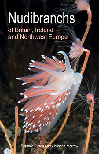 Nudibranchs Of Britain, Ireland And Northwest Europe: Second Edition: 15
