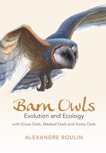 Barn Owls: Evolution And Ecology