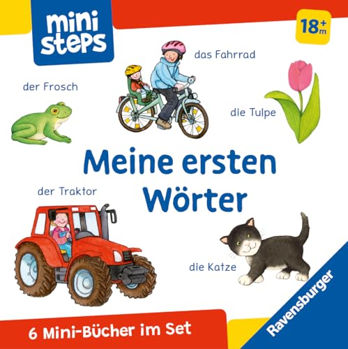 Ministeps: Mein Erster Bücher-Würfel: Meine Ersten Wörter (Bücher-Set): Ab 12 Monate