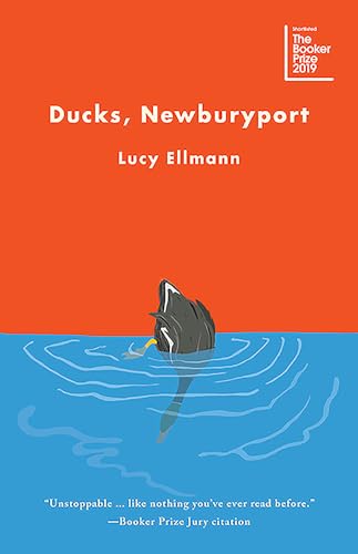 Ducks, Newburyport