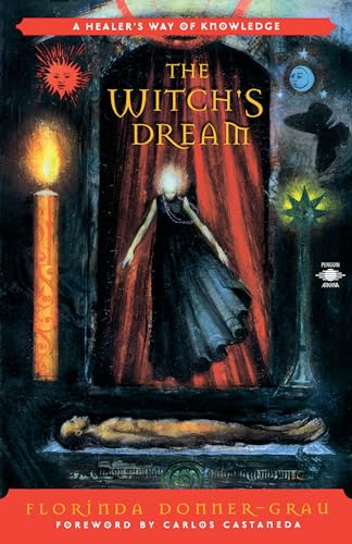 The Witch'S Dream: A Healer'S Way Of Knowledge