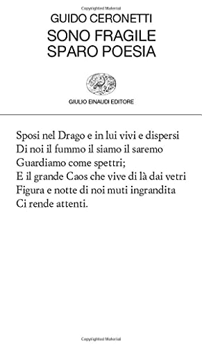 Sono Fragile Sparo Poesia