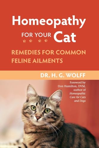 Homeopathy For Your Cat: Remedies For Common Feline Ailments