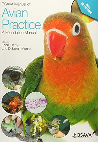 Bsava Manual Of Avian Practice: A Foundation Manual
