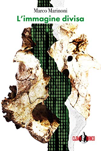 L'Immagine Divisa